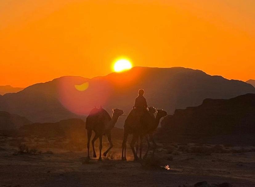 Wadi Rum Travel Camp Екстериор снимка